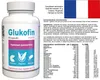 Glukofin - 60 Kapseln hochdosiert - Original Rezept aus der Produktbild-Vorschau 7
