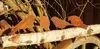4 Edelrost Metall Vogel Stecker Gartendeko Rostoptik mit Produktbild-Vorschau 5