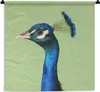 MuchoWow® Wandteppich Wandbehang Pfau - Vogel - Federn Produktbild-Vorschau 1