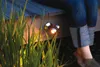 Oase LunAqua Maxi LED Set 3 Teichbeleuchtung Produktbild-Vorschau 14