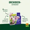 COMPO Orchideen-Aufbaukur - 5 Ampullen á 30 ml Produktbild-Vorschau 6
