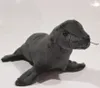 Lion de mer en peluche Voir les images du produit 2