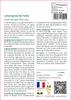 SAFLAX  - Lemongrass de l'Inde - 50 graines - Cymbopogon Voir les images du produit 3