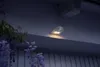 Osram DoorLED Outdoor wall lighting LED Anteprima dell’immagine prodotto 5