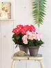 Mica Decorations Begonien Kunstpflanze im Blumentopf Stan - Produktbild-Vorschau 5