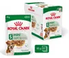 Royal Canin Mini Ageing 12+, Dospělý jedinec, 85 g Náhled obrázku produktu 1