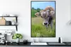 MuchoWow® MuchoWow® Gerahmtes Poster Kuh - Braun - Produktbild-Vorschau 3