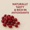 Cranberries Getrocknet 1kg Saftig Ganze Beeren Vegan Snack Produktbild-Vorschau 7