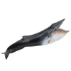 Maquette d'animal marin,Simulation de maquette d'animal Voir les images du produit 7