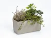 PLASTIA s.r.o. Jardinière à arrosage automatique Berberis Voir les images du produit 12