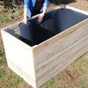 Pflanzen Noppenfolie für Hochbeet, schwarz, 0,9 x 650 cm Produktbild-Vorschau 4