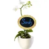 Folia 390509 Súprava 5 kriedových fixiek so šírkou čiary Náhľad obrázku produktu 5