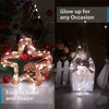 A split image showing decorative lights. The left side shows a star shape made of lights intertwined with pine cones and red berries. The right side shows lights inside a glass bottle. Produktbild-Vorschau