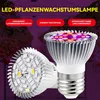 Two LED plant growth lamps are shown, one with its LEDs illuminated in purple and red, and the other with its LEDs visible. Text overlays describe the benefits of the lamps. Produktbild-Vorschau