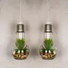 2er Set LED Glühbirne Sukkulenten H19cm Grün Deko Lampe Produktbild-Vorschau 4