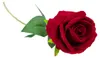Rose unique en velours Comme la vie Artificielle Marron Voir les images du produit 4