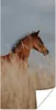 MuchoWow® Poster Pferd - Luft - Gras 20x40 cm - Plakat - Produktbild-Vorschau 1