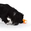 Edupet Hundespielzeug 06021AC - Dog ´N Roll 10cm orange Produktbild-Vorschau 5