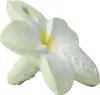 Oli&carol Bali The Flower Anneau de dentition Marron  Voir les images du produit 3
