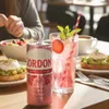 Gordon’s Premium Pink Gin & Tonic 24 x 0,25L – Produktbild-Vorschau 5