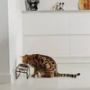 Doppelnapfständer District 70 - BUTLER - Cat Schwarz Produktbild-Vorschau 6