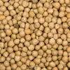 Cizrna 25kg Náhled obrázku produktu 3