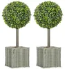 HOMCOM Kunstmatig buxus, set van 2, 50 cm. Kunstplant met Productafbeelding-voorbeeld 1