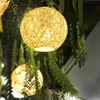 A close-up shot of two spherical, woven pendant lights hanging amidst lush green foliage. Anteprima dell’immagine prodotto