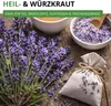 Lavendel Echter Samen - Lavandula angustifolia - Produktbild-Vorschau 5