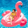 Aufblasbare Schwimmreihe, Vinylmaterial, strapazierfähige Produktbild-Vorschau 2
