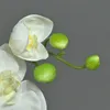 artplants.de Künstliche Blume Phalaenopsis Orchideen Zweig Produktbild-Vorschau 4