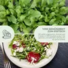 Rucola Samen (Eruca sativa, 500 Korn) - Rauke Saatgut aus Produktbild-Vorschau 3