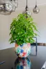 Collection TS - Blumentopf Sparkle spring - 24x21 Voir les images du produit 9