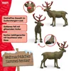 schleich WILD LIFE 72271, 14 Jahr(e), Mehrfarbig, 1 Produktbild-Vorschau 7
