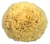 Spugna naturale P250 Premium Anteprima dell’immagine prodotto 1
