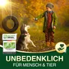 DÜNGEMEISTER Herbst Rasendünger – mit Langzeitwirkung und Produktbild-Vorschau 7