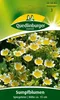 Uova fritte ai fiori di palude Anteprima dell’immagine prodotto 3