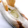 Hračka pre mačky Magic Fish s mačacou mätou, krúti sa ako Náhľad obrázku produktu 23