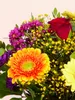 Blumenstrauß Farbenfreude | Geschenk - frische Blumen | Produktbild-Vorschau 2
