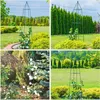 KADAX šplhací podpěra, ocelový šplhací obelisk, volně Náhled obrázku produktu 9