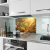Küchenrückwand Spritzschutz Glas mit Motiv Sonnengeflutete Produktbild-Vorschau 2