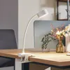 Lindby LED-Akku-Klemmleuchte Maori, weiß, Metall, CCT, dim. Produktbild-Vorschau 2
