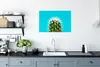 MuchoWow® Poster Kaktus auf blau 60x40 cm - Produktbild-Vorschau 3