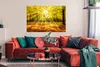 MuchoWow® Poster Baum - Natur - Sonne - Landschaft - Wald Produktbild-Vorschau 2