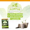 Artikelbild 3 von 'Kohlrabi Superschmelz' aus der Kategorie Kohlrabisamen Produktbild-Vorschau
