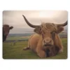 MuchoWow® Mauspad Mousepad Schottischer Highlander - Tiere Produktbild-Vorschau 1