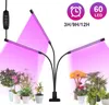 LED lampa na rastliny svetlo plné spektrum rast panel modrá Náhľad obrázku produktu 7