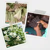 Natürliche ätherische Öle für die Aromatherapie, 12 Stück Produktbild-Vorschau 11