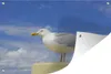 MuchoWow® Produktbild-Vorschau 1