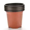 A stack of small, brown plastic plant pots with black rims, isolated on a white background. Produktbild-Vorschau